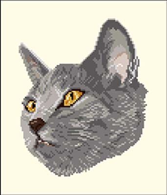 Chartreux de profil diagramme noir et blanc - Orbis Pictura
