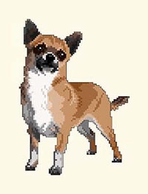 Chihuahua brun III - Orbis Pictura