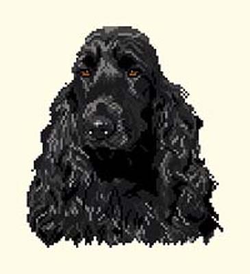 Cocker anglais noir diagramme noir et blanc - Orbis PIctura