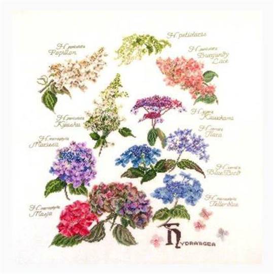 Hydrangea - Kit point de croix - Thea Gouverneur