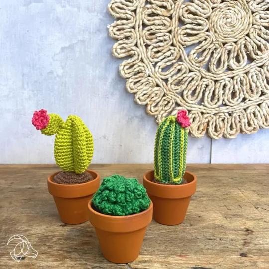 Cactus • Kit Crochet Amigurumi - Hardicraft