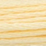 Fil mouliné ANCHOR coloris 300