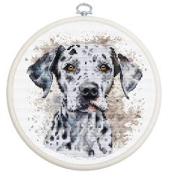 Le Dalmatien  - Kit avec cercle - Luca-S