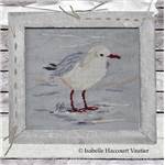 La petite mouette - Fiche Isabelle Haccourt Vautier