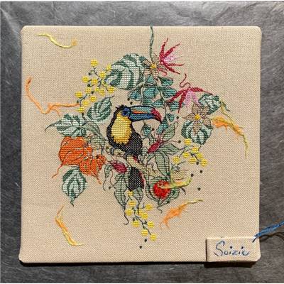 Le Toucan - Diagramme broderie - Soizic