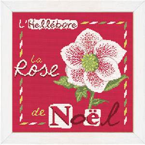 La Rose de Noël - Fiche point de croix - Lilipoints