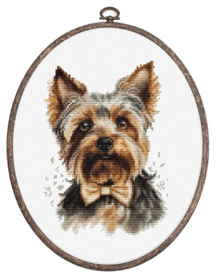 Yorkshire Terrier  - Kit avec cercle - Luca-S