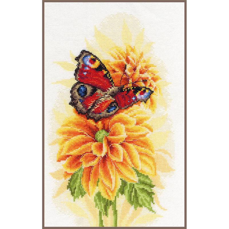 T-shirt Humour "Taxi Papa" - 24h/24, 365j/an - Cadeau Père Drôle, Coton, Tailles Standard