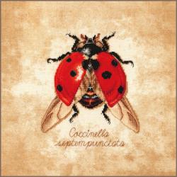 Coccinella septempunctata - Kit point de croix - Lanarte
