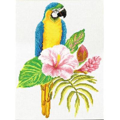 Hibiscus Macaw - Kit point de croix - Needleart World