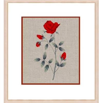 La Rose - kit broderie traditionnelle - Le Bonheur des Dames