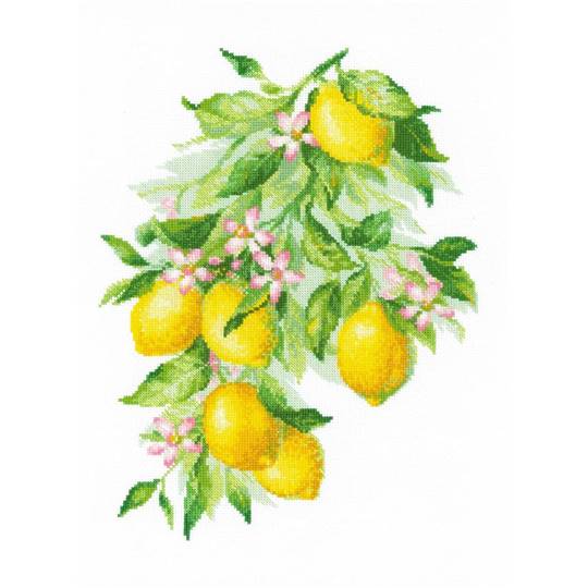 Citrons Brillants - Kit point de croix - Riolis