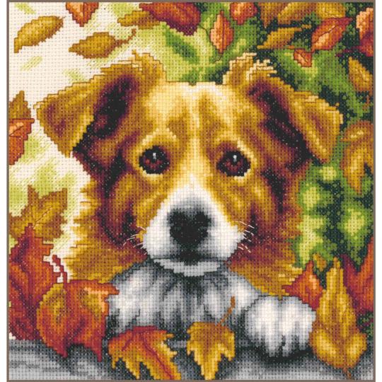 Chien en Automne - Kit point de croix - Vervaco