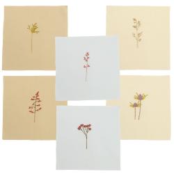 Herbes folles – Kit de broderie 6 motifs Rico Design