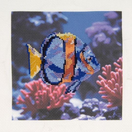 Poisson- Kit Point de Croix - DMC