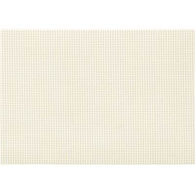 Coupon de toile PVC Aïda 5.5 crème 30 x 50 cm