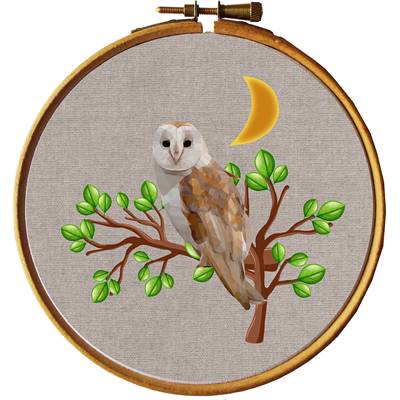 Chouette - Kit broderie traditionnelle - Princesse