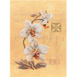 3 Orchidées - Kit point de croix - Lanarte