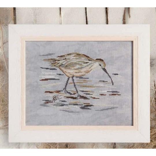 Le Courlis cendré 2 - Fiche Isabelle Haccourt Vautier