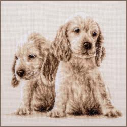 2 Chiens - Kit point de croix  - Vervaco