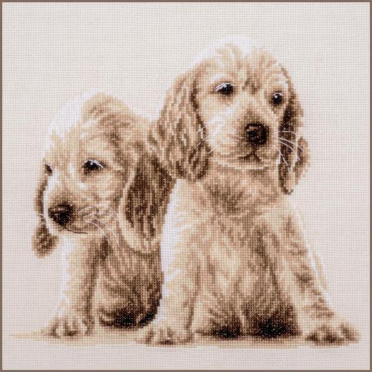2 Chiens - Kit point de croix  - Vervaco