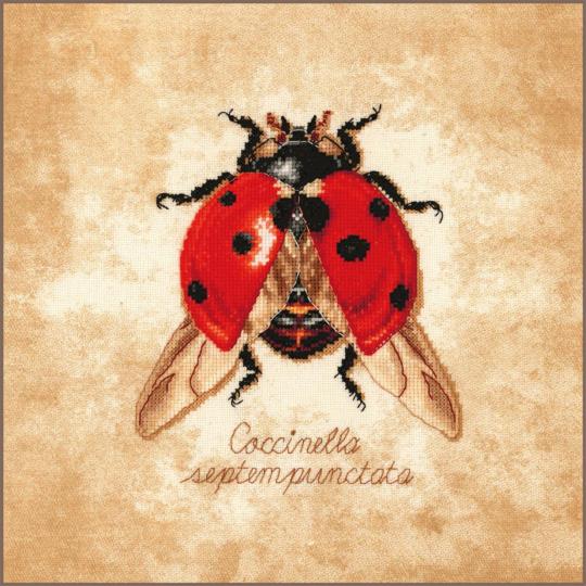 Coccinella septempunctata - Kit point de croix - Lanarte