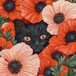 Poppy Eye  - Kit point de croix - LETISTITCH