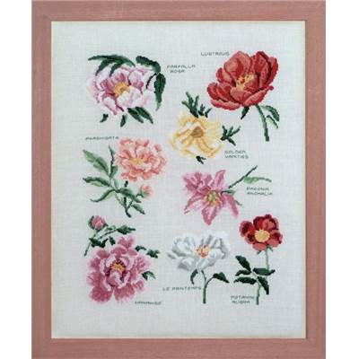 Variétés de Pivoines (fiche) - Lucas Créations