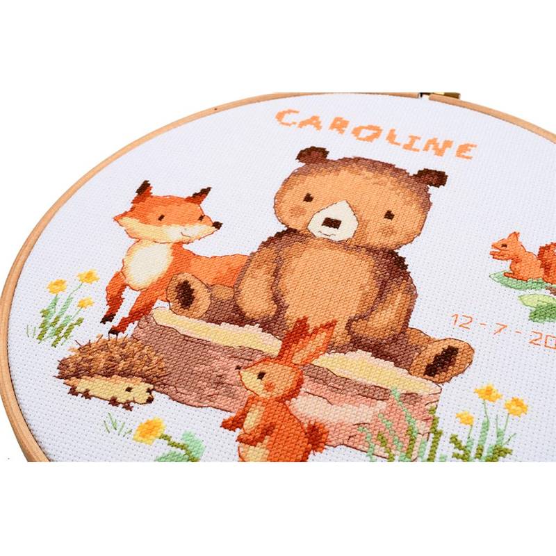 Kit Point De Croix « Animaux De La Forêt » – Broderie DIY Personnalisée Naissance – Tissu 25x26 Cm – Complet Avec Fils - 4