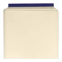 Toile Aïda 5.5 pts coloris champagne laize 150 cm