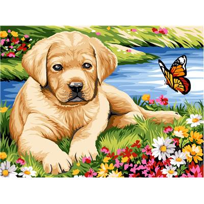 Petit Labrador - Canevas Pénélope - Margot de Paris