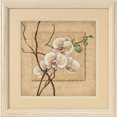Oriental Orchids - Kit point de croix - Dimensions