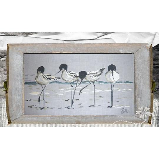 Bande d'Avocettes élégantes - Fiche Isabelle Haccourt Vautier