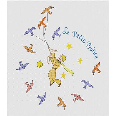 Le Petit Prince - Kit point de croix - Princesse