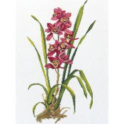 Orchidée rouge – Kit point de croix Eva Rosenstand