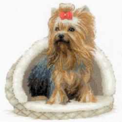 Yorkshire Terrier - Kit point de croix - Riolis