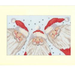 Santa Selfie - Kit Carte de Voeux - Bothy Threads