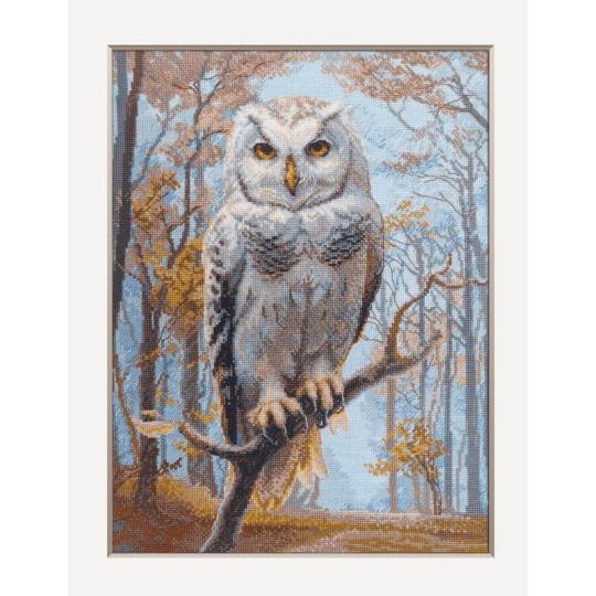 Chouette de Wildwood - Kit point de croix - Aine