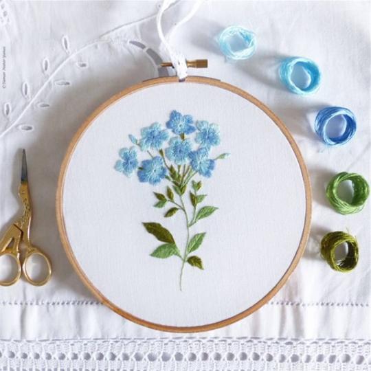 Blue Plumbago – kit broderie traditionnelle – Tamar Ny