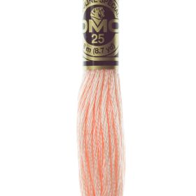 Fil à broder mouliné DMC coloris 967 Rose Flamant
