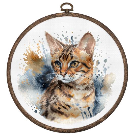 Chat Bengal  - Kit avec cercle - Luca-S