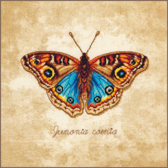 Junonia coenia - Kit point de croix - Lanarte