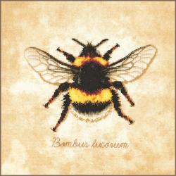 Bombus lucorum - Kit point de croix - Lanarte