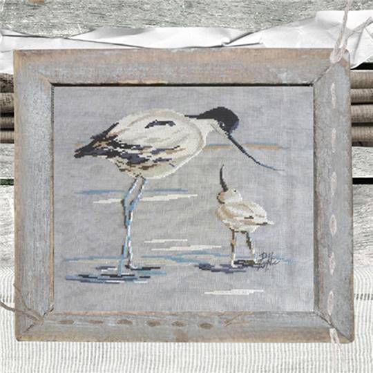 Avocette et son petit - Fiche Isabelle Haccourt Vautier