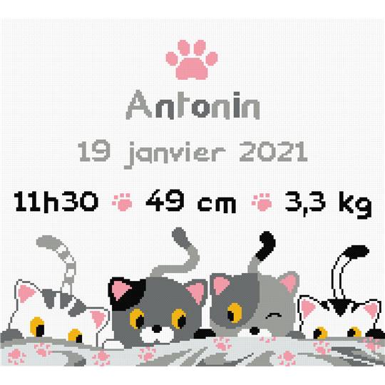 Petits Chats - Kit point de croix Naissance - Princesse