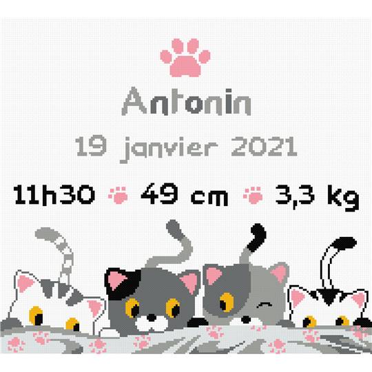 Petits Chats - Kit point de croix Naissance - Princesse