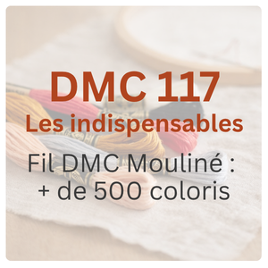 fils à broder dmc mouliné