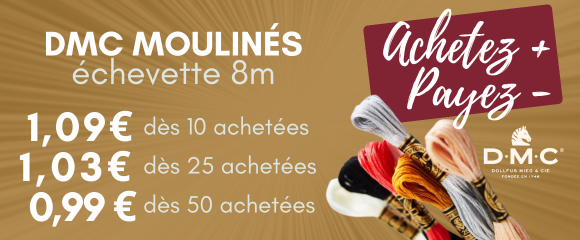fils dmc moulins