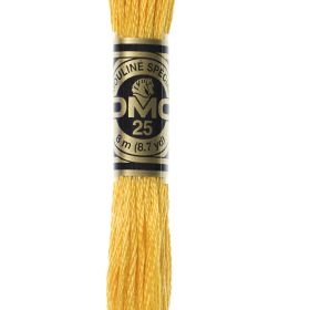 Fil DMC Moulin orange vif